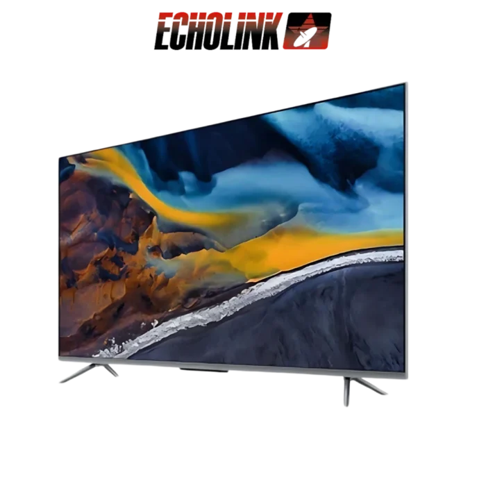 DIGITRONICS ECHOLINK - 55Q70