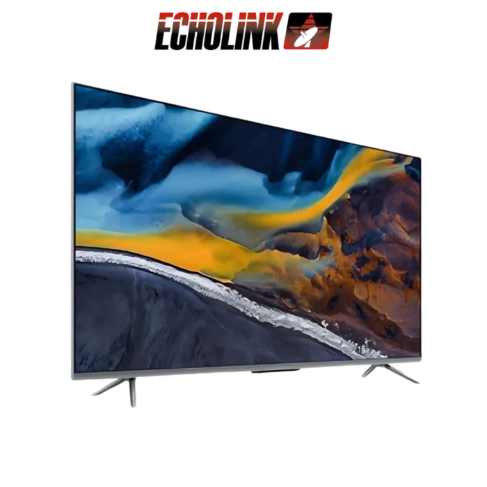DIGITRONICS ECHOLINK - 55Q70