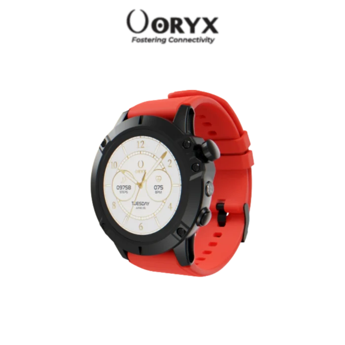 DIGITRONICS ORYX RS20