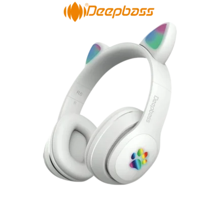 DIGITRONICS DEEPBASS R6