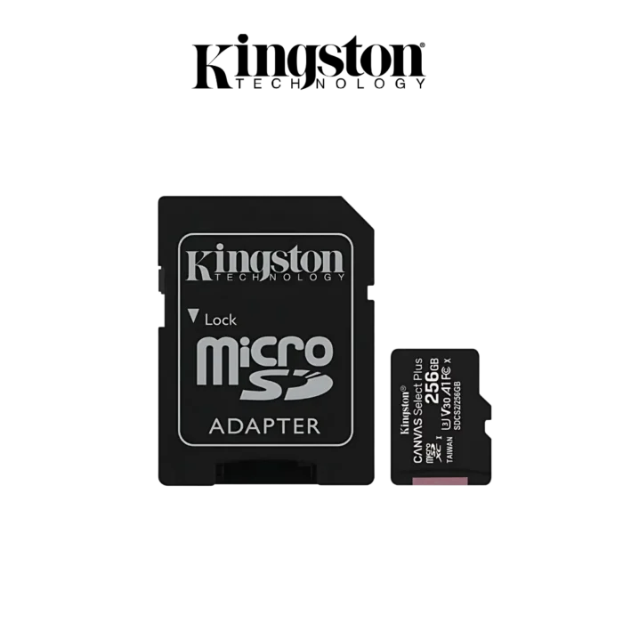 DIGITRONICS KINGSTON CARTE MEMOIRE 256G